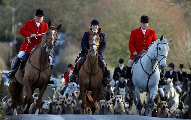 For all their outwardly splendor, fox hunts are cold-blooded, highly choreographed acts of cowardice and distilled sadism against helpless animals.  The moral imbeciles who ride to these hunts should be the hunted. 