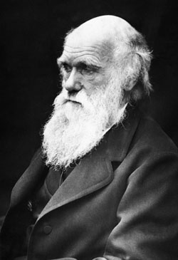 Marx and Darwin: Two great revolutionary thinkers of the nineteenth century (Pt.2)