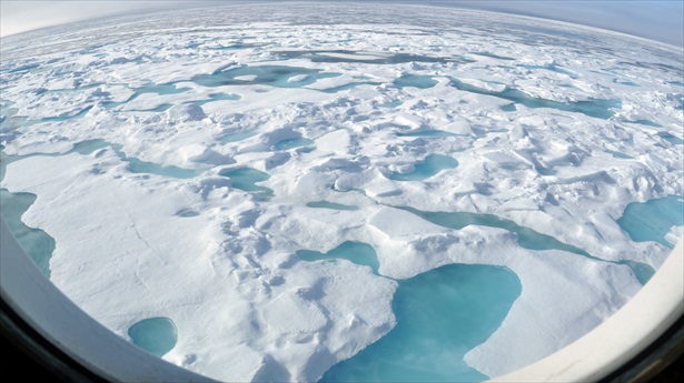 Arctic expert predicts final collapse of sea ice within four years
