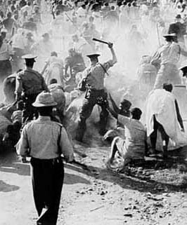 southAfricariotsmall