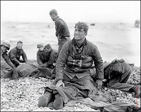 dDay-rosenblum_walter_gelatin_d-day_landing_normandy_beach_1944_11x14_L