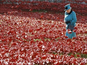 The Queen, naturally, lends a hand with the Poppy campaign. 