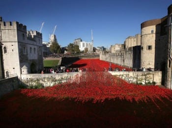 The poppy madness has taken hold with a vengeance as the UK's establishment tries to whip up a patriotic acceptance of "war sacrifices."