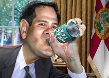 Marco Rubio: Thirsty for power. He has now tasted it, ergo he's doubly dangerous.