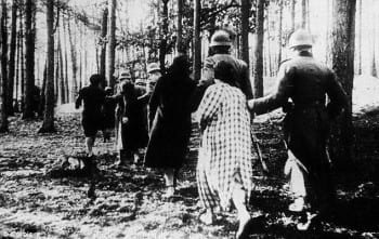 Germans herd Jewish victims to their immediate execution in the woods and pre-dug mass graves.