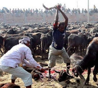 At long last: From now on, no more animal sacrifice at Nepal's Gadhimai festival