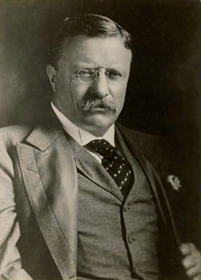 Theodore_Roosevelt_1901-08