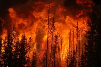 forest fire, Alberta