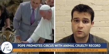 (VIDEO) WORLD NEWS: Pope on Circuses, Animal Rights in Pakistan, and More!