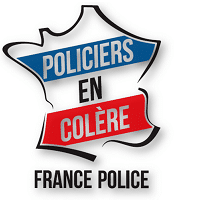 Special Paris Dispatch: Cop union says Yellow Vests undercounted ...