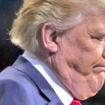 Trump-profile