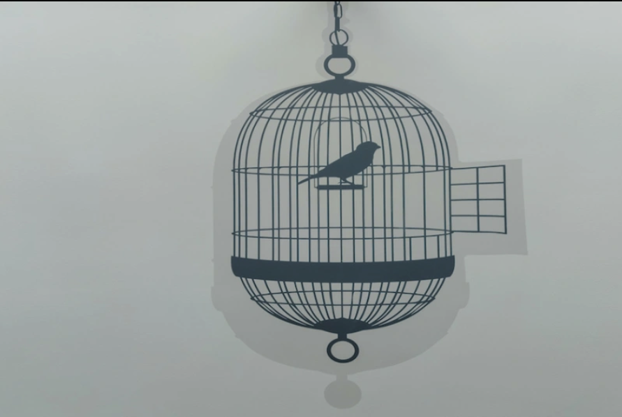 bird in cage- Caitoz
