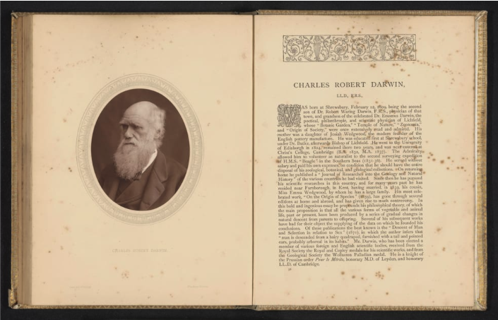 Darwin